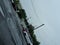 2016 Dodge Grand Caravan SE Plus